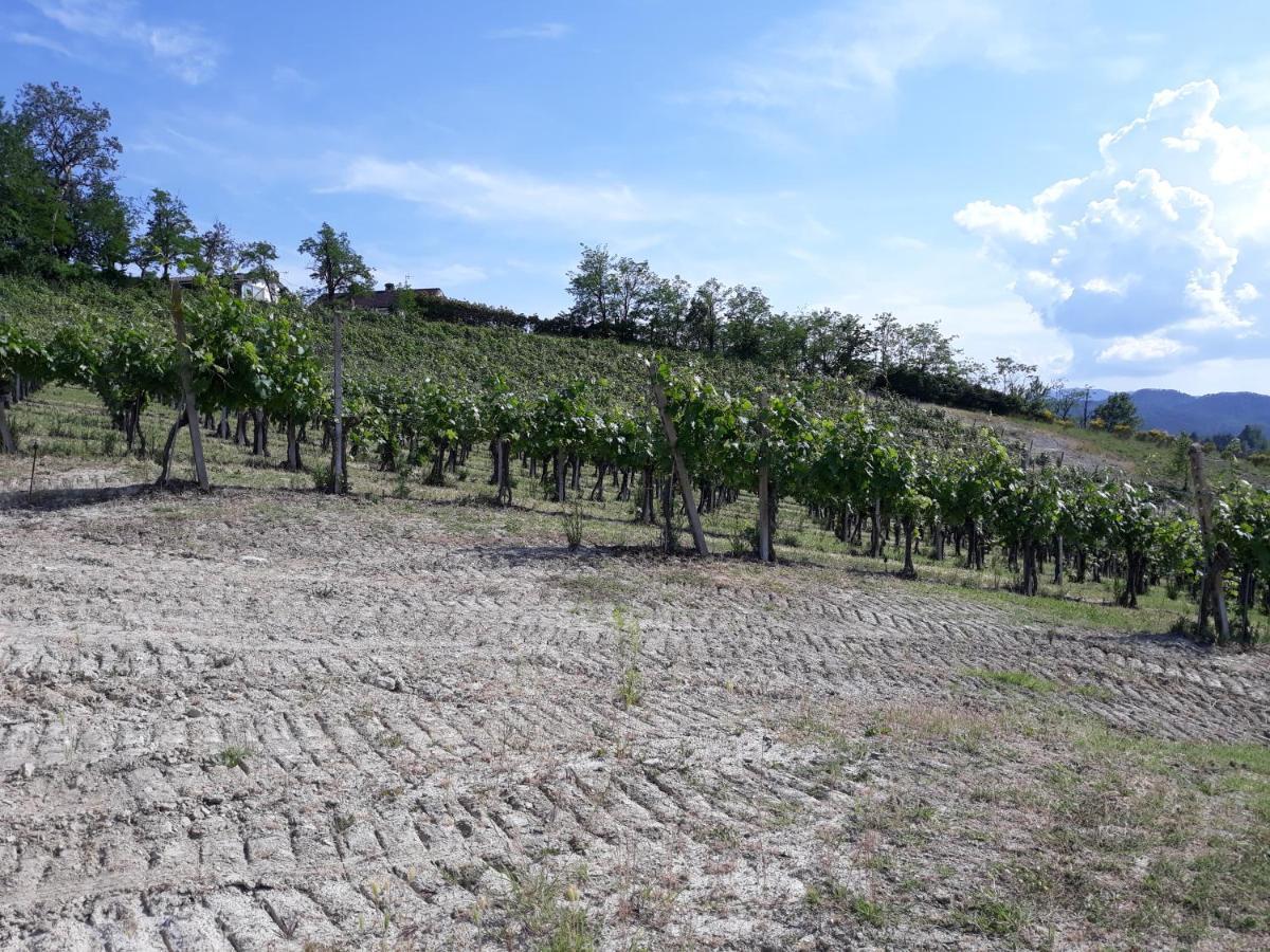 Agriturismo Il Biancospino Bed & Wine Appartement Lerma Buitenkant foto